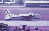 Photo: British Air Ferries - BAF, Bristol 170 Mk.32 Superfreighter, G-APAV