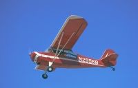 Photo: Untitled, Piper PA-18 Cub, N2556B
