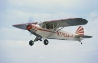 Photo: Untitled, Piper PA-18 Cub, N77524