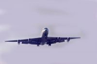 Photo: United Airlines, Douglas DC-8-21