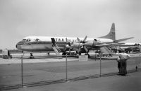 Photo: Trans Australia Airlines - TAA, Lockheed L-188 Electra, VH-TLB