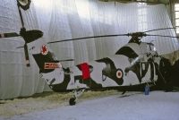 Photo: Royal Air Force, Westland Wessex, XR502